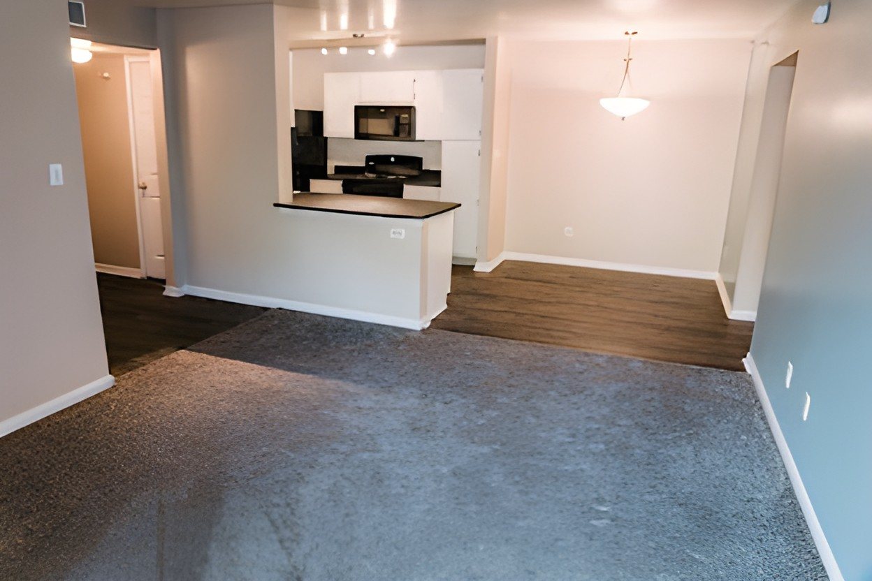 Before: an empty apartment living room with dark grey carpet and a pendant light