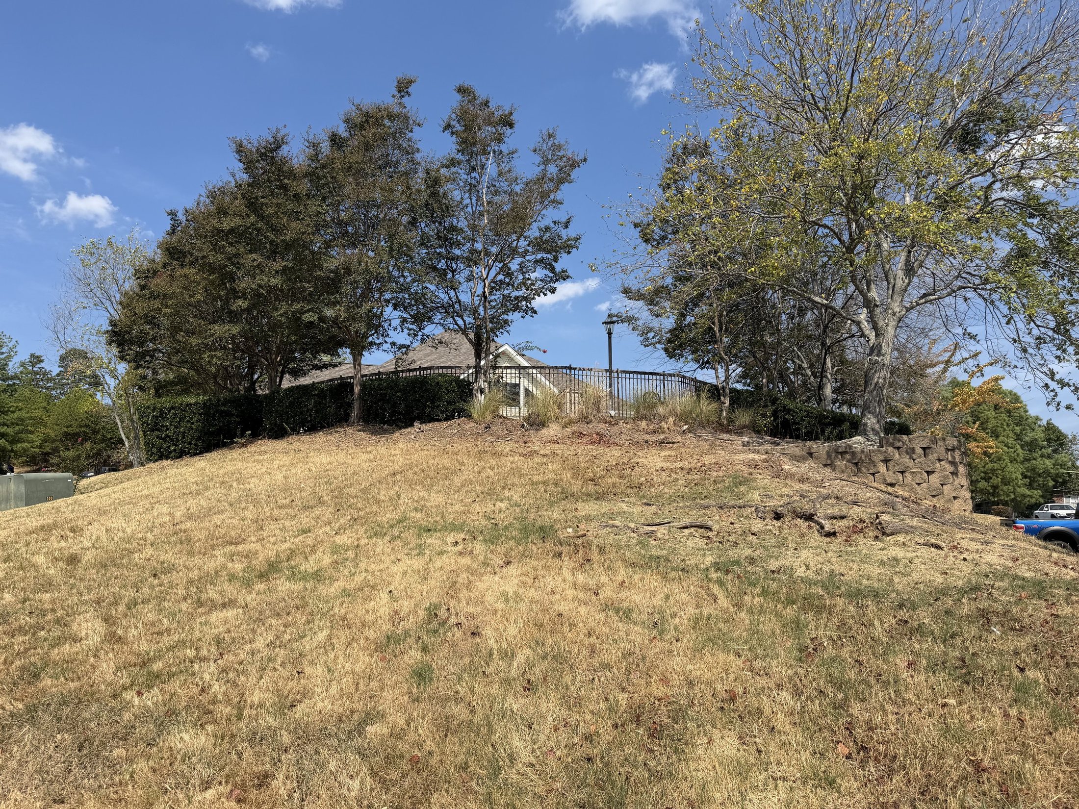 Before: a dry, grassy slope with scattered trees