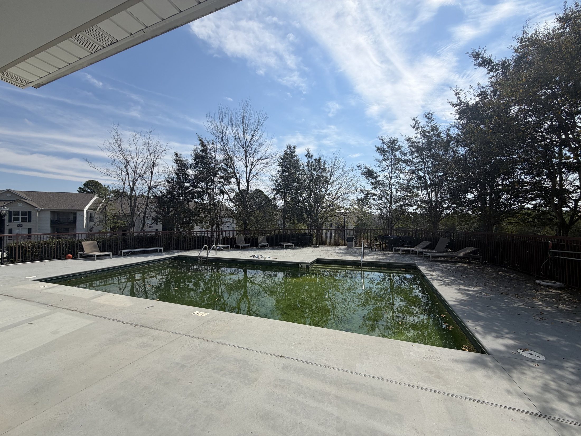 Before: the pool with green water and bare concrete decking